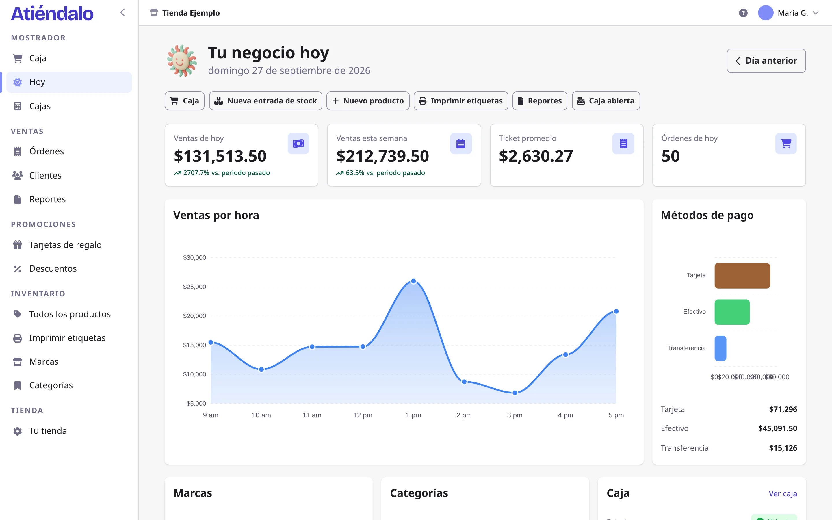Pantalla Hoy con las ventas del día, ventas por hora, métodos de pago y la caja abierta.